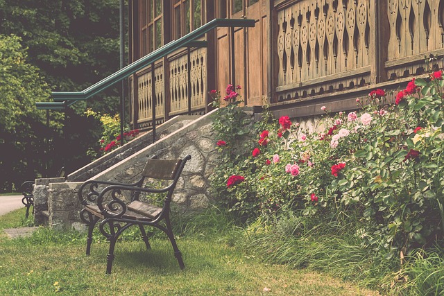 国足的输球 国足的输球