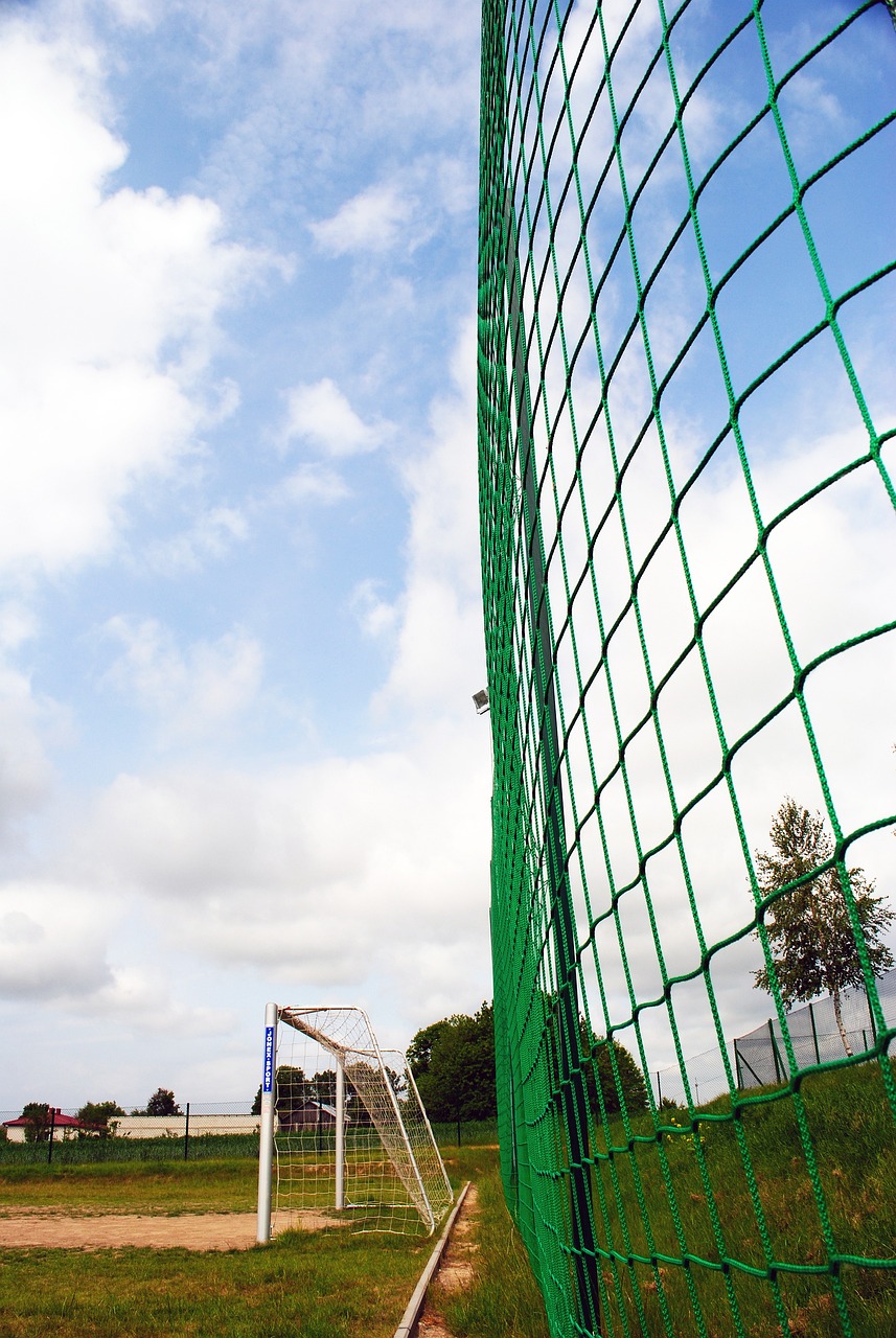 与中国传统 与中国传统