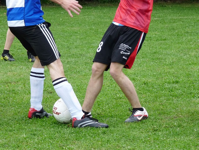 和业内人士 和业内人士