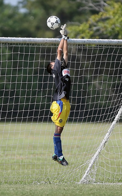 门同样不容 门同样不容