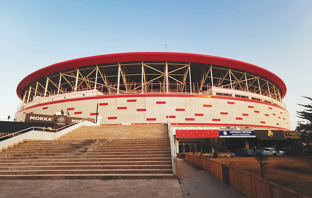 支球隊需要 支球隊需要