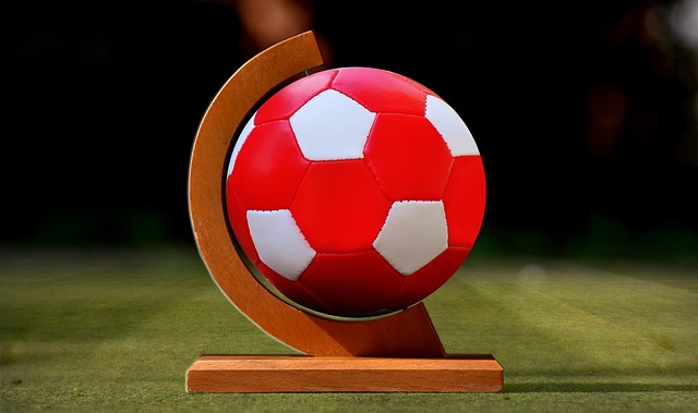 这说明抢球 这说明抢球